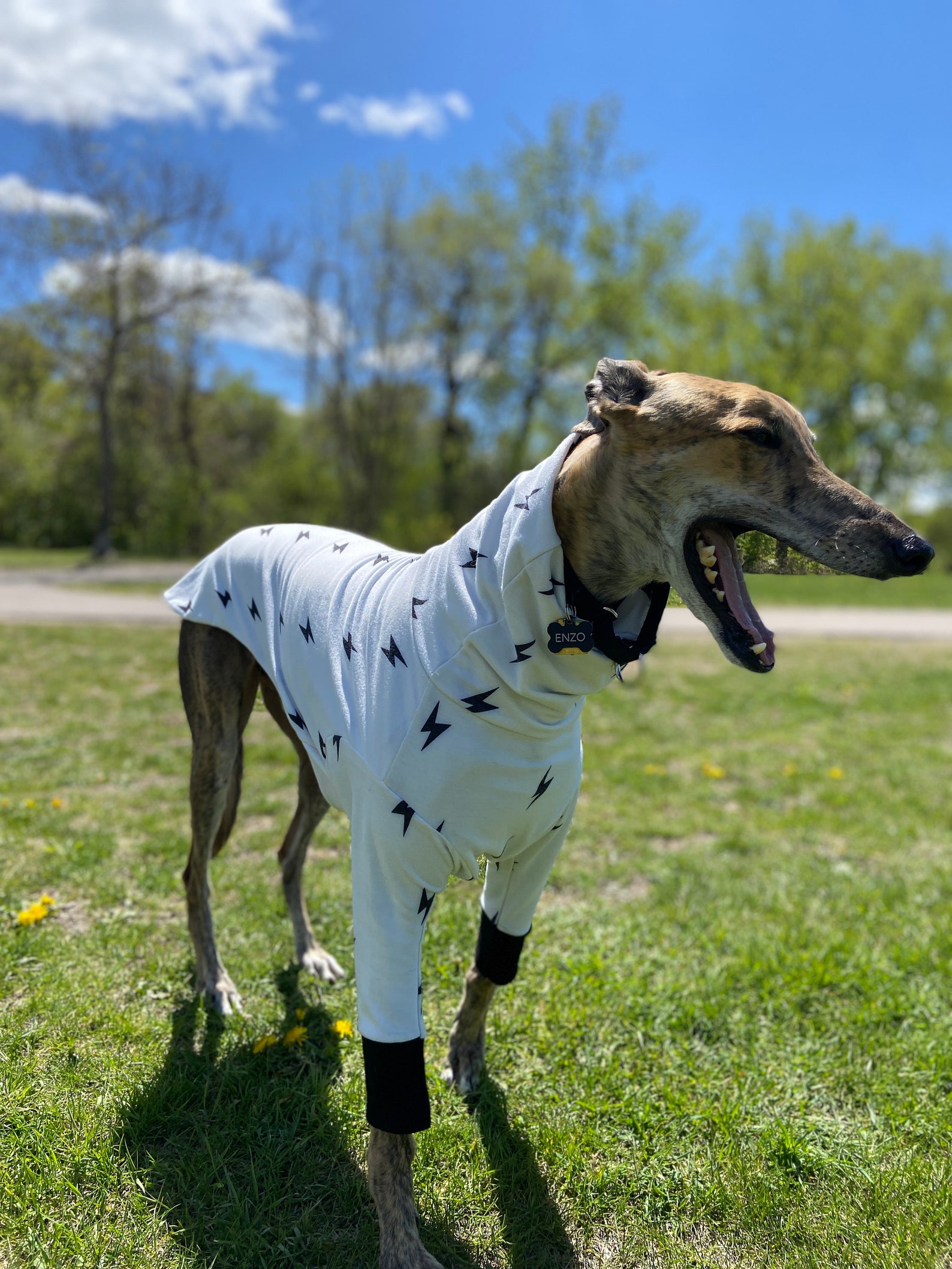 Greyhound Pajamas Greyhound Costume FUn Greyhound Jacket Etsy
