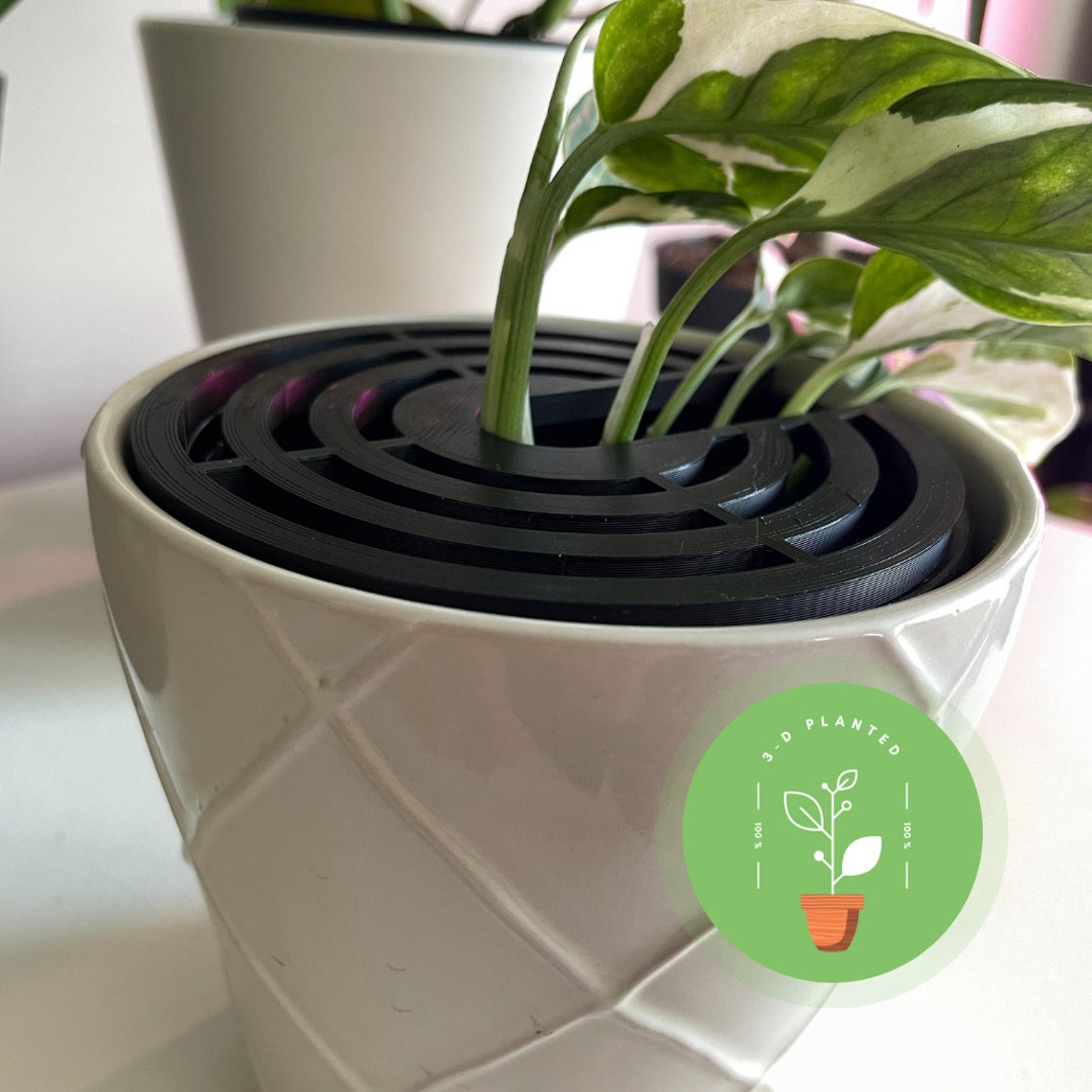 Plant Protector, Cats Plant Protector, Dog Plant Protector Etsy