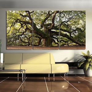 May include: A triptych canvas print featuring a large, sprawling oak tree with thick branches and lush green leaves. The tree is set against a backdrop of a grassy field and a blue sky.