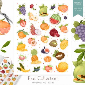 Hoja de pegatinas de frutas exóticas / Pegatinas imprimibles de planificador de alimentos saludables / Pegatinas de diario de balas / Pegatinas imprimibles de verano / Pegatinas de frutas