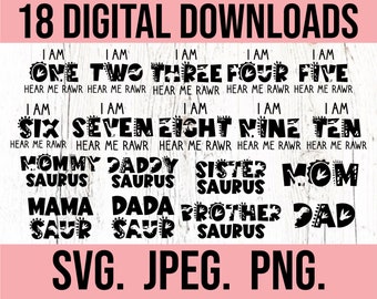 Birthday Dinosaur SVG Bundle - Dino Family SVG - Instant Download - png jpeg - Cricut Cut File - Birthday Boy Bundle - Birthday Dino Clipart