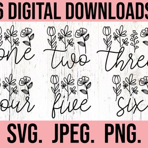 May include: Six digital downloads of floral designs with the numbers one through six written in cursive. The text "SVG. JPEG. PNG." is at the bottom of the image.