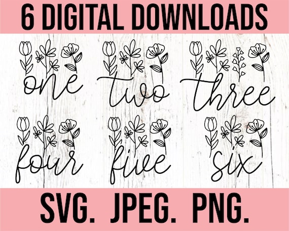 Floral Birthday Girl SVG Bundle - First Birthday Girl Shirt SVG - Instant Download - png jpeg - Cricut File - Wild One Birthday Girl Bundle