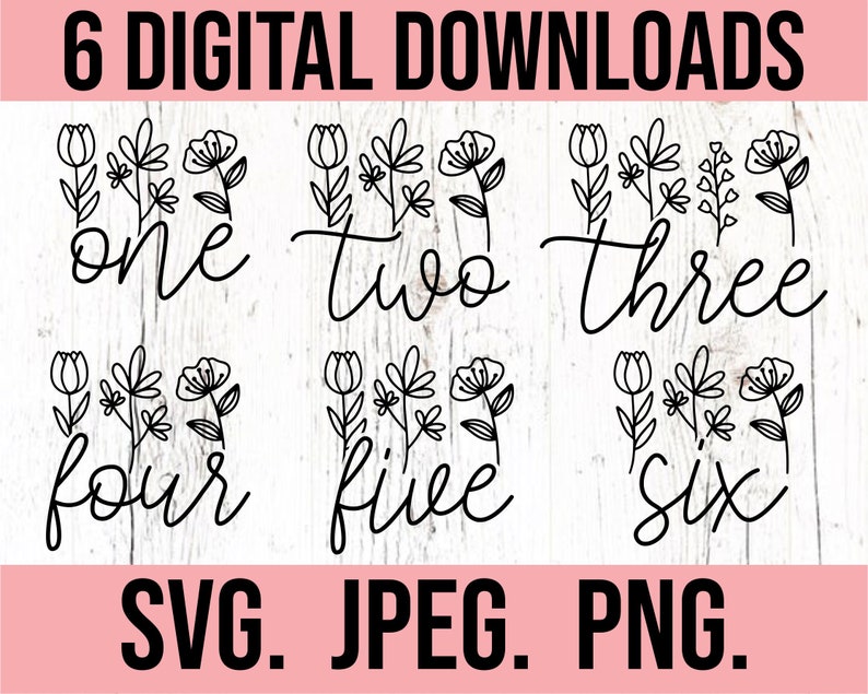 May include: Six digital downloads of floral designs with the numbers one through six written in cursive. The text "SVG. JPEG. PNG." is at the bottom of the image.