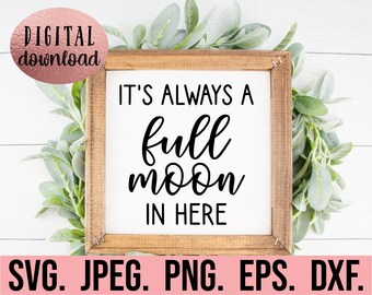 May include: A wooden sign with the text "It's always a full moon in here" in black lettering. The sign is surrounded by green foliage.