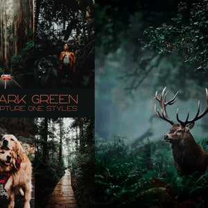 15 Dark Green Capture One Styles • Green presets • Moody Green Instagram Presets • Dark Presets • Wedding Presets • Portrait styles • vsco