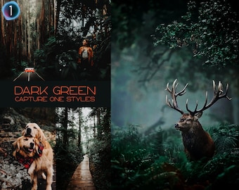 May include: A collage of images featuring a dark green forest with a red car driving on a road, a woman standing in the forest, a path leading through the forest, and a deer standing in the forest.