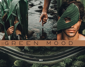 15 Green Mood Presets • Dark Mood Presets • Mobile Lightroom Presets • Photo Edit Filters • Dark • XMP DNG • Instagram Filters for Travel