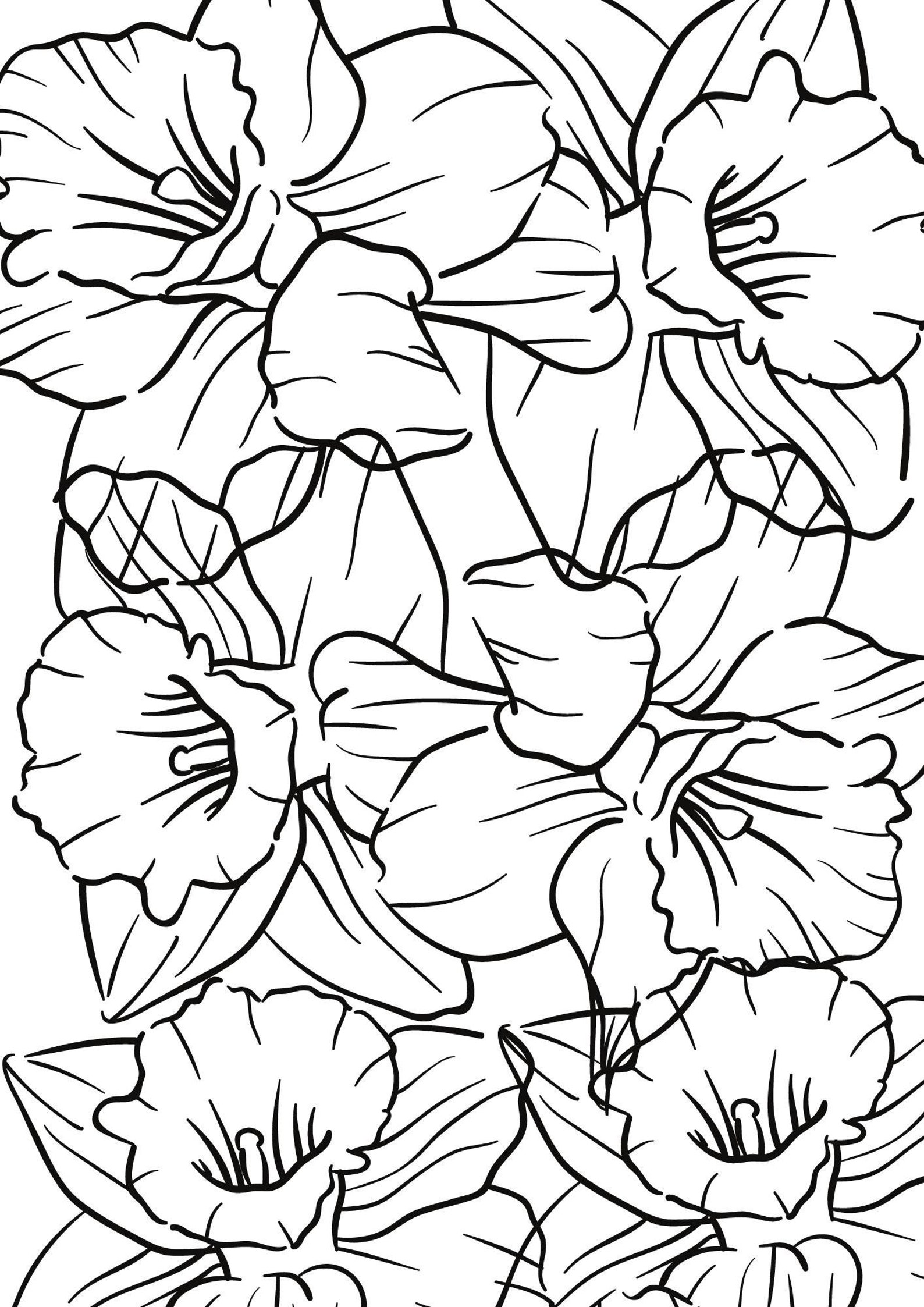 Colouring Pages for baby girls | Etsy