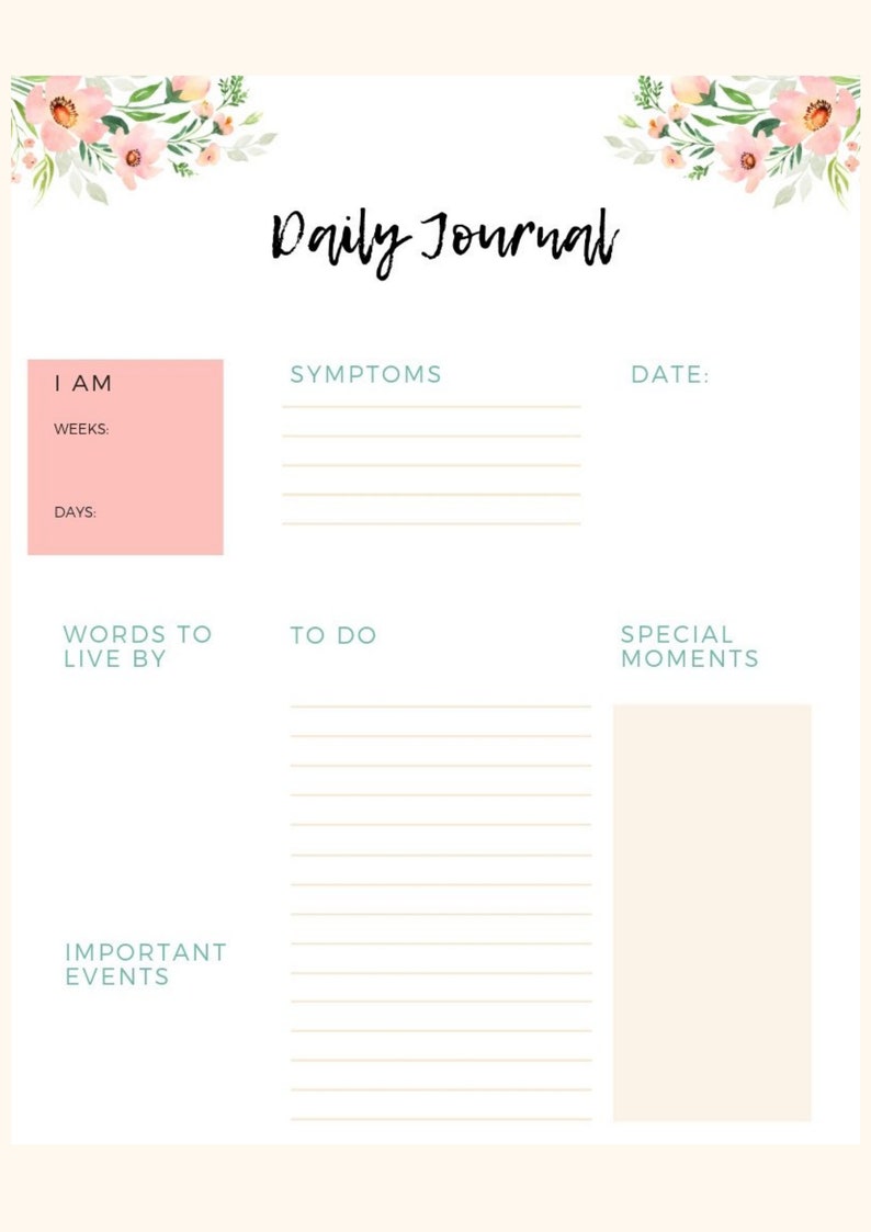Daily, Weekly, Monthly Planner - Etsy