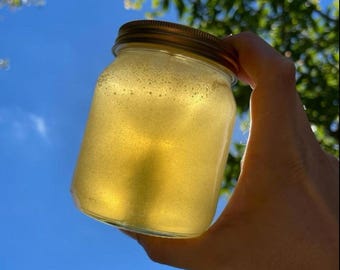 Raw Honey, Unprocessed Local Honey from Chilterns, Buckinghamshire
