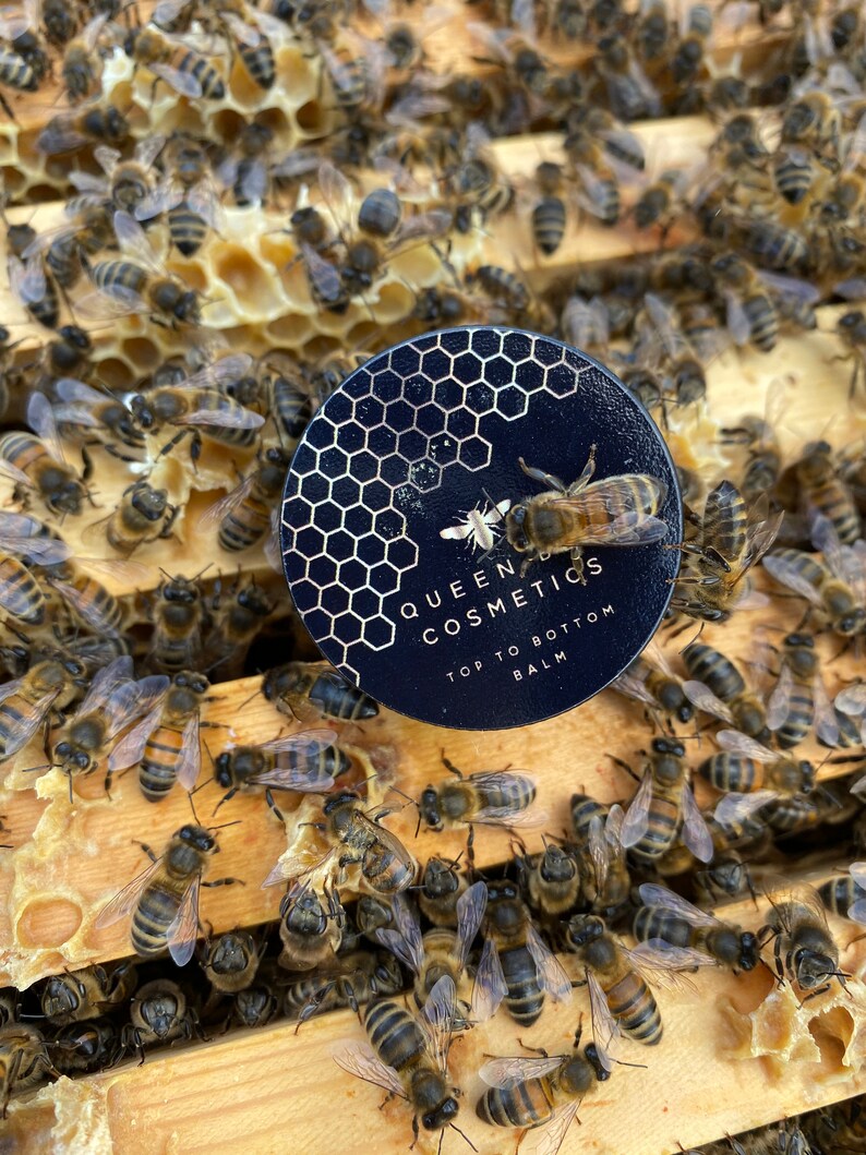 May include: A black and gold round container with the text "Queen Bee Cosmetics" and "Top to Bottom Balm" on a honeycomb background with bees surrounding it.