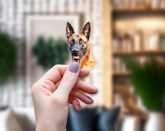 Belgian Malinois dog