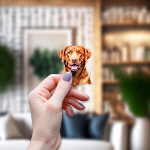 Chesapeake Bay Retriever dog sticker vinyl/clear/white 3-inches