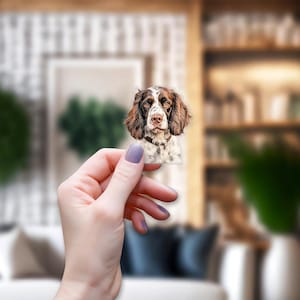 Englisch Springer Spaniel Hund Aufkleber Vinyl / transparent / weiß, 3 Zoll