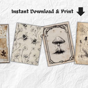 K&ouml;nnte beinhalten: Vier botanische Drucke im Vintage-Stil. Einer zeigt gepresste Bl&auml;tter, ein anderer Bienen und G&auml;nsebl&uuml;mchen, ein dritter einen Pilz und der letzte L&ouml;wenzahn. Der Text "Instant Download & Print" steht oben.