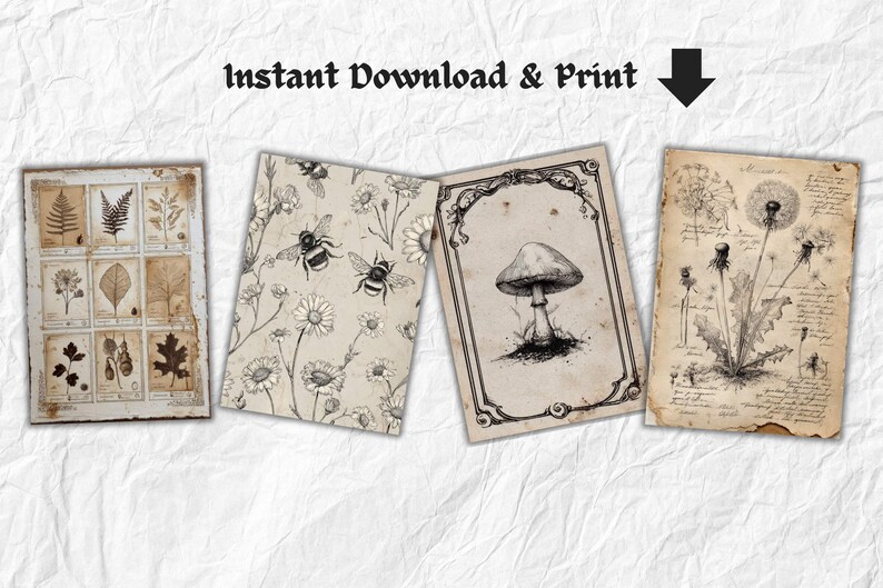 K&ouml;nnte beinhalten: Vier botanische Drucke im Vintage-Stil. Einer zeigt gepresste Bl&auml;tter, ein anderer Bienen und G&auml;nsebl&uuml;mchen, ein dritter einen Pilz und der letzte L&ouml;wenzahn. Der Text "Instant Download & Print" steht oben.