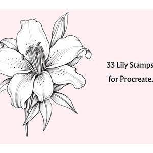 Pode incluir: Um desenho de linha preto e branco de uma flor de l&iacute;rio. A imagem est&aacute; em um fundo rosa e inclui o texto "33 Lily Stamps for Procreate."