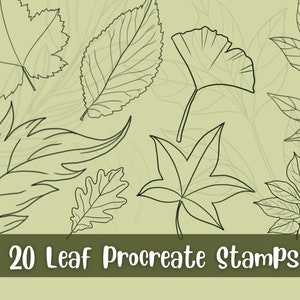 Procreate Blätter, Procreate Pinsel, Procreate Pinsel, Botanische Stempel, Procreate Stempel, Procreate Pinsel, Tattoo, Laub
