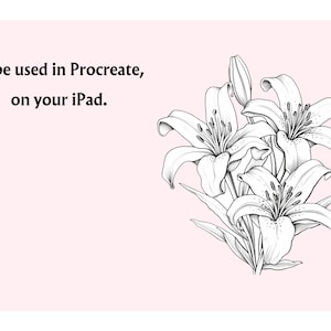 Pode incluir: Um desenho a preto e branco de l&iacute;rios sobre um fundo rosa. O texto "To be used in Procreate, on your iPad." est&aacute; no topo da imagem.