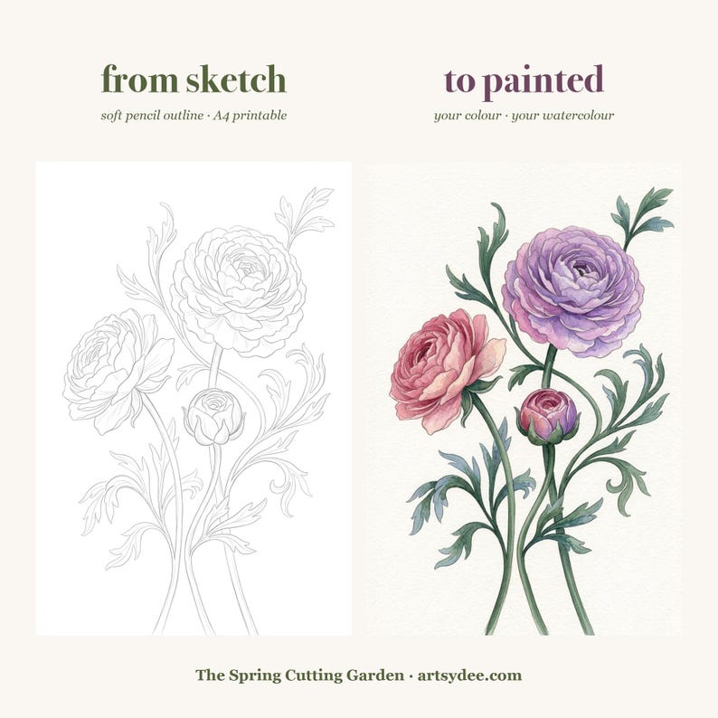 How to Paint Cottage Garden Flowers | 20 Printable Watercolour Templates + Video Lesson | Beginner Painting Outlines image 3