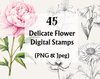 Delicate Flowers Outline Clipart, Delicate Flowers Procreate, Delicate Flowers Clipart, Wedding Clipart, Digital Stamps, Digi Stamps, Floral