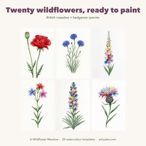 Stapsgewijze handleiding voor het schilderen van wilde bloemen | 20 printbare sjablonen van Britse wilde bloemen + videoles | Basisprincipes voor beginners afbeelding 4