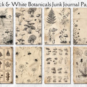 K&ouml;nnte beinhalten: Schwarz-Wei&szlig;-Botaniker-Junk-Journal-Seiten. Die Seiten zeigen detaillierte Illustrationen von Pilzen, Farnen, Blumen und Insekten. Die Seiten haben ein Vintage-Aussehen von gealtertem Papier, mit dem Text "Black & White Botanicals Junk Journal Pages" oben.