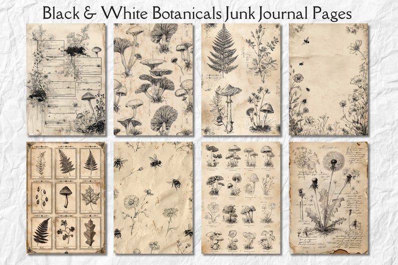 K&ouml;nnte beinhalten: Schwarz-Wei&szlig;-Botaniker-Junk-Journal-Seiten. Die Seiten zeigen detaillierte Illustrationen von Pilzen, Farnen, Blumen und Insekten. Die Seiten haben ein Vintage-Aussehen von gealtertem Papier, mit dem Text "Black & White Botanicals Junk Journal Pages" oben.