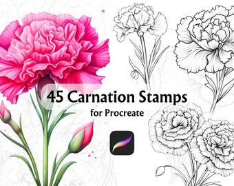 Carnation Procreate Stamp, Procreate Botanical Stamps, Procreate Flower Stamps, Procreate Florals, Flower Procreate, Procreate Tattoo
