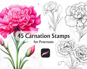Carnation Procreate Stamp, Procreate Botanical Stamps, Procreate Flower Stamps, Procreate Florals, Flower Procreate, Procreate Tattoo