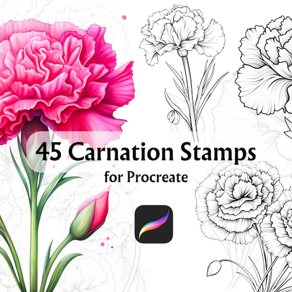 Nelke Procreate Stempel, Procreate Botanische Stempel, Procreate Blumenstempel, Procreate Florals, Blume Procreate, Procreate Tattoo