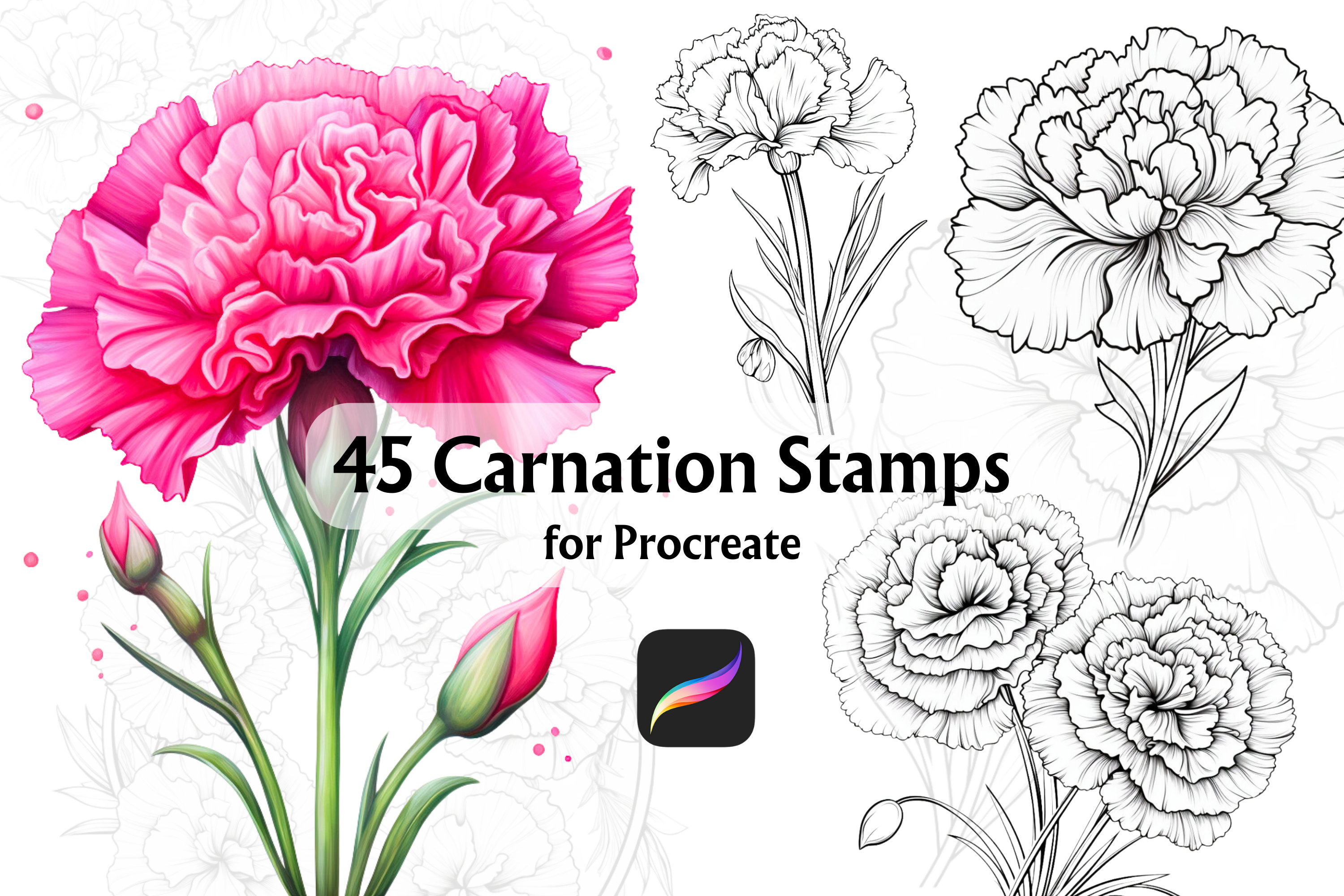 Carnation Procreate Stamp, Procreate Botanical Stamps, Procreate Flower
