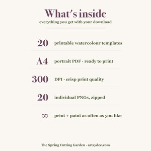 How to Paint Cottage Garden Flowers | 20 Printable Watercolour Templates + Video Lesson | Beginner Painting Outlines image 2