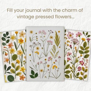 K&ouml;nnte beinhalten: Drei Bl&auml;tter Papier mit gepressten Blumen. Das erste Blatt hat gelbe Blumen, das zweite Blatt hat rosa Blumen und das dritte Blatt hat rosa und lila Blumen. Der Text "F&uuml;lle dein Tagebuch mit dem Charme von Vintage-gepressten Blumen..." befindet sich oben im Bild.