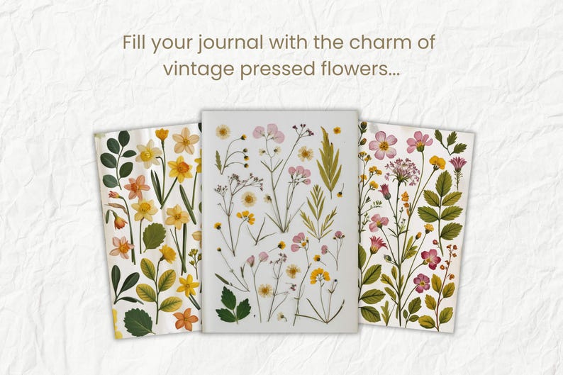K&ouml;nnte beinhalten: Drei Bl&auml;tter Papier mit gepressten Blumen. Das erste Blatt hat gelbe Blumen, das zweite Blatt hat rosa Blumen und das dritte Blatt hat rosa und lila Blumen. Der Text "F&uuml;lle dein Tagebuch mit dem Charme von Vintage-gepressten Blumen..." befindet sich oben im Bild.