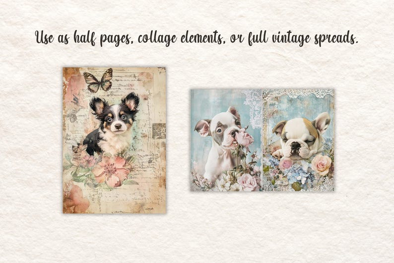May include: Vintage-style digital art featuring two collages with dog portraits. One collage showcases a black, white, and tan dog with a butterfly and flowers. The other collage features two dogs with flowers and lace.