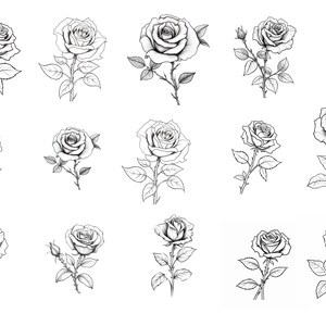 30 Rose Procreate Stamps, Floral Tattoo Brush Set for Ipad, Botanical ...