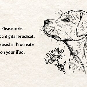 May include: Black and white line art illustration of a Labrador Retriever puppy with a daisy flower. The text "Please note: This is a digital brushset. To be used in Procreate on your iPad." is written below the image.