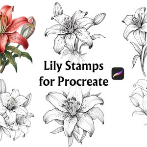 32 Carimbo Lily Procreate, Selos Procreate, Pincéis Procreate, Conjunto de pincéis Procreate, Selos de flores, Flor Procreate, Lírio, Tatuagem Procreate