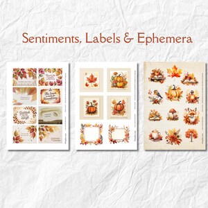 Op de afbeelding: Drie vellen herfst-thema ephemera met de tekst "Sentiments, Labels & Ephemera". De vellen bevatten aquarel illustraties van pompoenen, bladeren en kaders in warme kleuren. Sommige vellen bevatten tekst zoals "Gratitude".