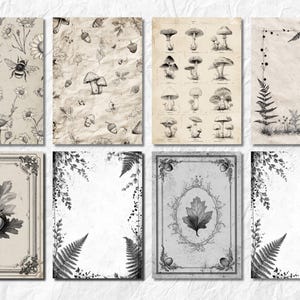 K&ouml;nnte beinhalten: Eine Sammlung von acht botanischen Vintage-Drucken. Die Drucke zeigen Illustrationen von Bienen, Blumen, Pilzen, Farnen und Eicheln. Die Farbpalette ist &uuml;berwiegend neutral mit Sepia-T&ouml;nen, was eine klassische und nat&uuml;rliche &Auml;sthetik erzeugt.