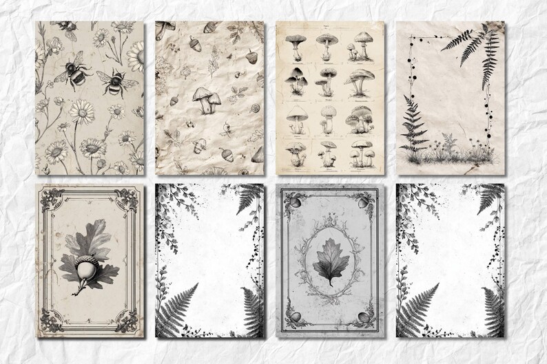 K&ouml;nnte beinhalten: Eine Sammlung von acht botanischen Vintage-Drucken. Die Drucke zeigen Illustrationen von Bienen, Blumen, Pilzen, Farnen und Eicheln. Die Farbpalette ist &uuml;berwiegend neutral mit Sepia-T&ouml;nen, was eine klassische und nat&uuml;rliche &Auml;sthetik erzeugt.