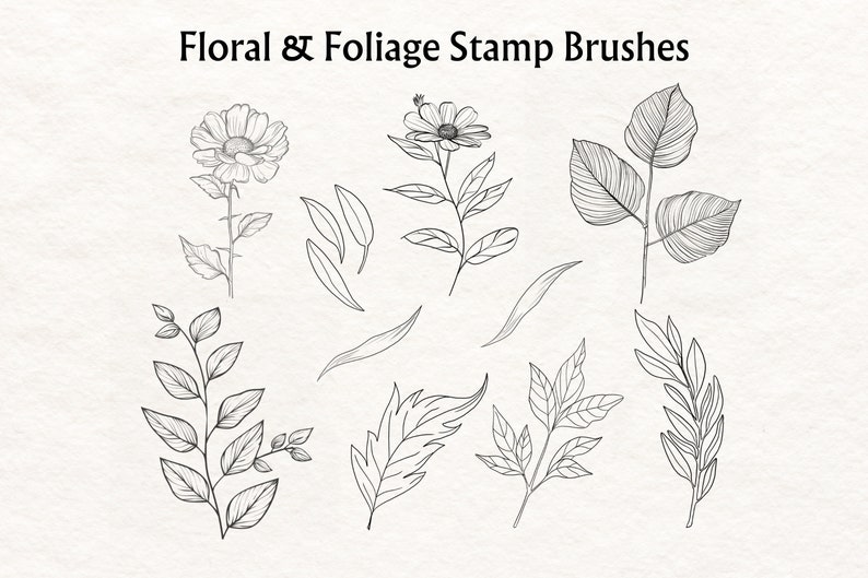 May include: A set of 10 black and white line art floral and foliage stamp brushes. The brushes feature various leaves, stems, and a single flower.