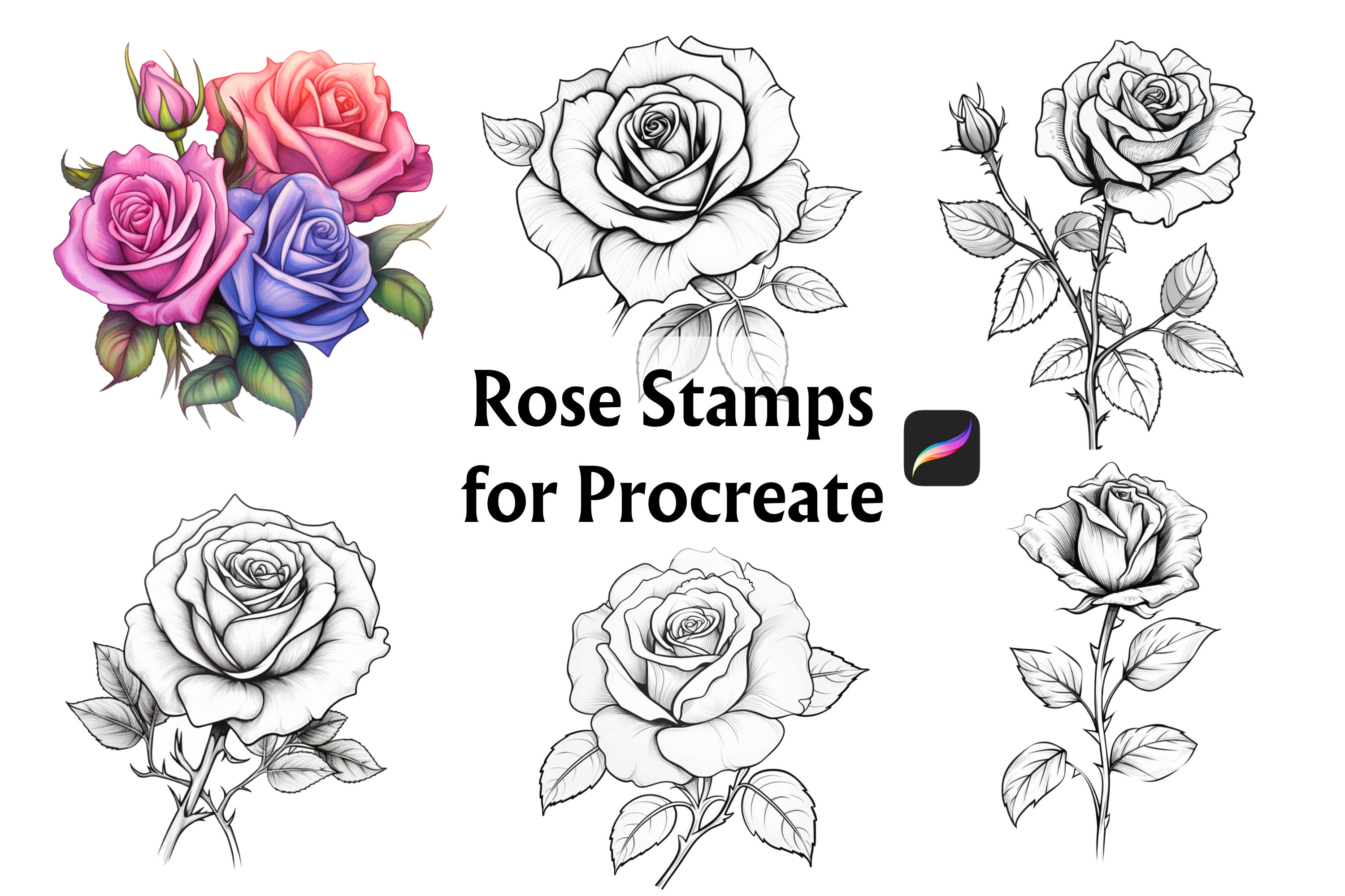 30 Rose Procreate Stamps, Rose Procreate Stamp, Procreate Stamps, Procreate Tattoo, Procreate Brushes, Rose Stamps, Procreate Rose, Rose,