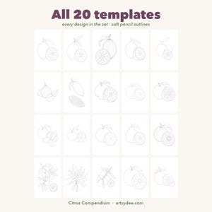 Compêndio de Cítricos - Modelos em Aquarela: 20 Frutas Cítricas Imprimíveis + Cartões de Receitas Coloridos (PDF A4 + PNG) imagem 5