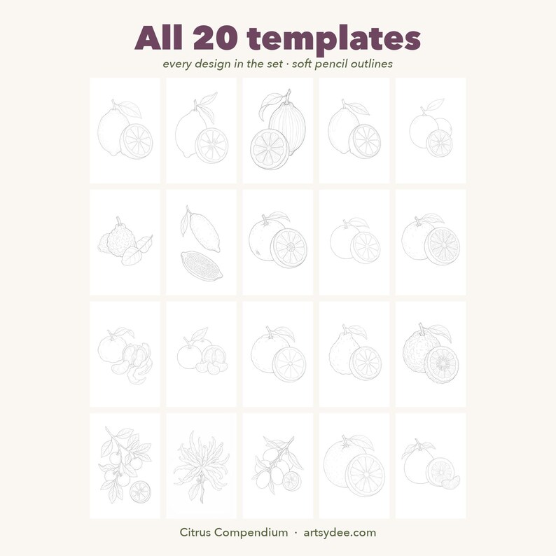 Compêndio de Cítricos - Modelos em Aquarela: 20 Frutas Cítricas Imprimíveis + Cartões de Receitas Coloridos (PDF A4 + PNG) imagem 5