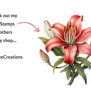 May include: A close-up of a pink lily flower with green leaves. The lily has a prominent stamen and pistil. The flower is in bloom and has a delicate, feminine appearance.