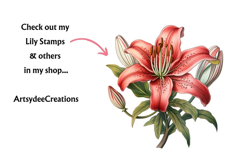 May include: A close-up of a pink lily flower with green leaves. The lily has a prominent stamen and pistil. The flower is in bloom and has a delicate, feminine appearance.