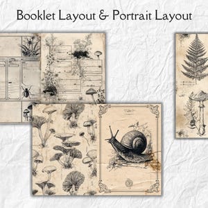 K&ouml;nnte beinhalten: Vintage-Stil botanische Illustrationen auf gealtertem Papier. Das Bild zeigt ein Booklet-Layout und ein Portrait-Layout mit detaillierten Zeichnungen von Pilzen, Farnen und einer Schnecke. Der Text "Booklet Layout & Portrait Layout" befindet sich oben.